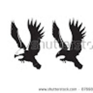 Meet your Posher, Jeanna